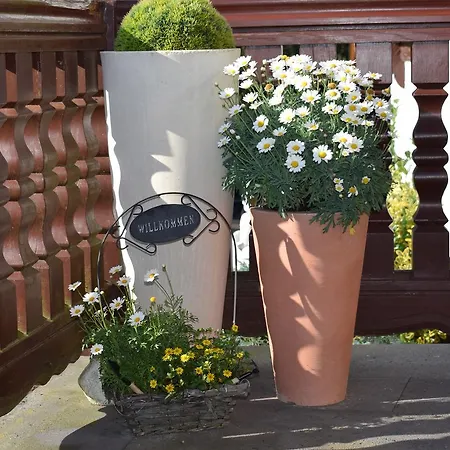 Sonne Guest house 3*